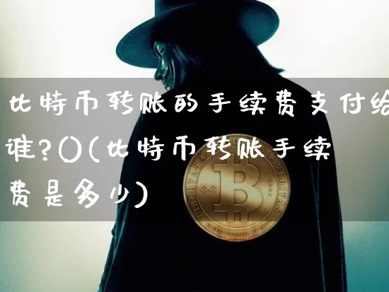 比特币转账的手续费支付给谁?()(比特币转账手续费是多少)_https://www.xjzxxn66.com_币圈资讯_第1张