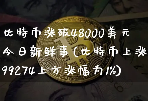 比特币涨破48000美元今日新鲜事(比特币上涨至99274上方涨幅为1%)_https://www.xjzxxn66.com_区块链_第1张