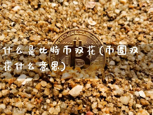 什么是比特币双花(币圈双花什么意思)_https://www.xjzxxn66.com_以太坊_第1张