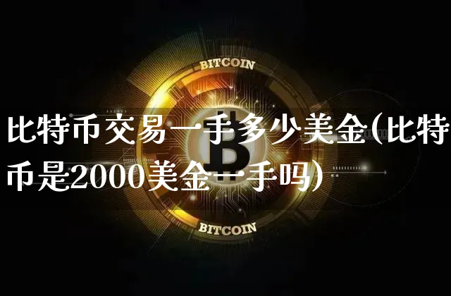 比特币交易一手多少美金(比特币是2000美金一手吗)_https://www.xjzxxn66.com_币圈资讯_第1张