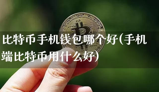 比特币手机钱包哪个好(手机端比特币用什么好)_https://www.xjzxxn66.com_币圈资讯_第1张