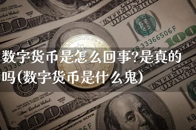 数字货币是怎么回事?是真的吗(数字货币是什么鬼)_https://www.xjzxxn66.com_以太坊_第1张