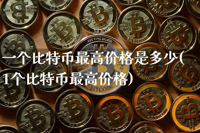 一个比特币最高价格是多少(1个比特币最高价格)_https://www.xjzxxn66.com_币圈资讯_第1张