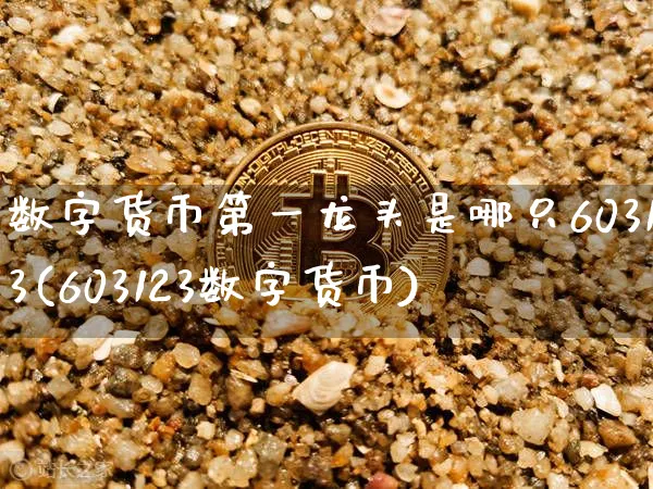 数字货币第一龙头是哪只603123(603123数字货币)_https://www.xjzxxn66.com_以太坊_第1张