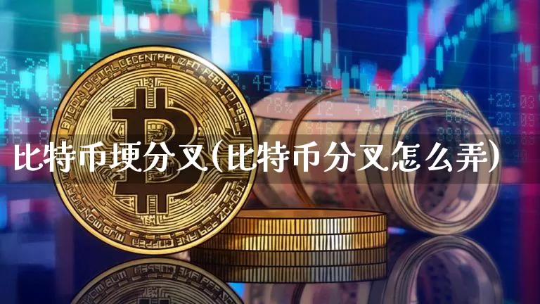 比特币埂分叉(比特币分叉怎么弄)_https://www.xjzxxn66.com_以太坊_第1张