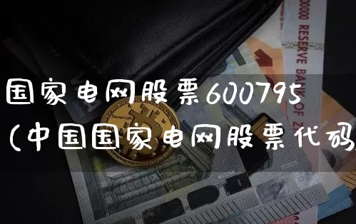 国家电网股票600795(中国国家电网股票代码)_https://www.xjzxxn66.com_未分类_第1张