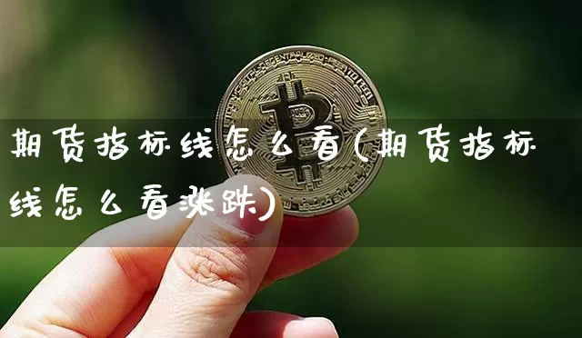 期货指标线怎么看(期货指标线怎么看涨跌)_https://www.xjzxxn66.com_币圈资讯_第1张