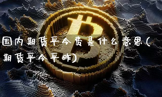 国内期货平今费是什么意思(期货平今平昨)_https://www.xjzxxn66.com_币圈资讯_第1张
