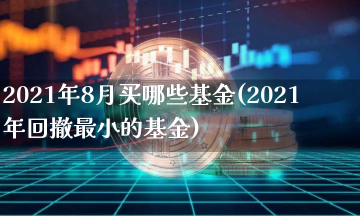 2021年8月买哪些基金(2021年回撤最小的基金)_https://www.xjzxxn66.com_以太坊_第1张
