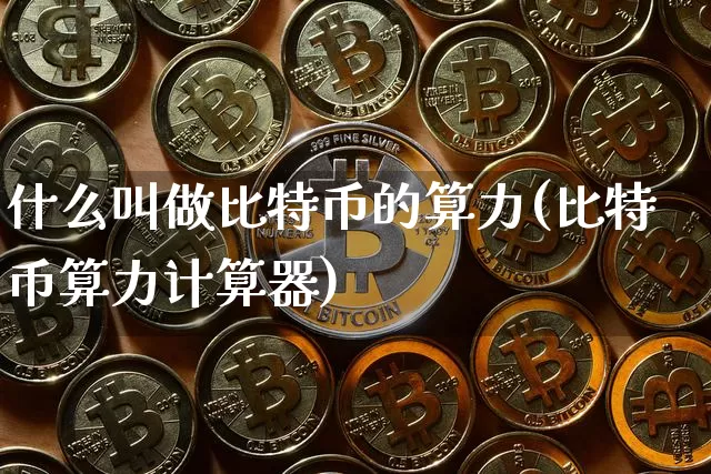 什么叫做比特币的算力(比特币算力计算器)_https://www.xjzxxn66.com_币圈资讯_第1张