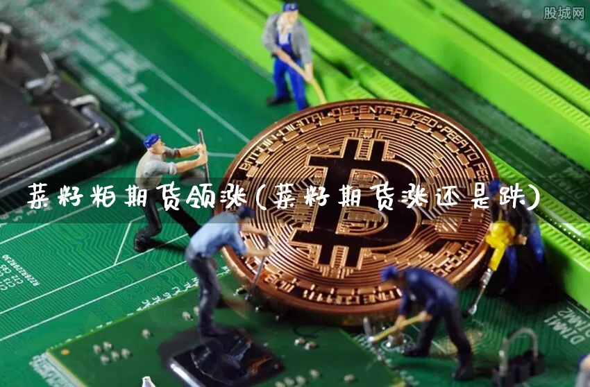 菜籽粕期货领涨(菜籽期货涨还是跌)_https://www.xjzxxn66.com_币圈资讯_第1张