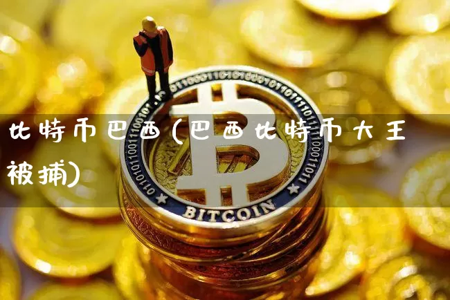 比特币巴西(巴西比特币大王被捕)_https://www.xjzxxn66.com_区块链_第1张