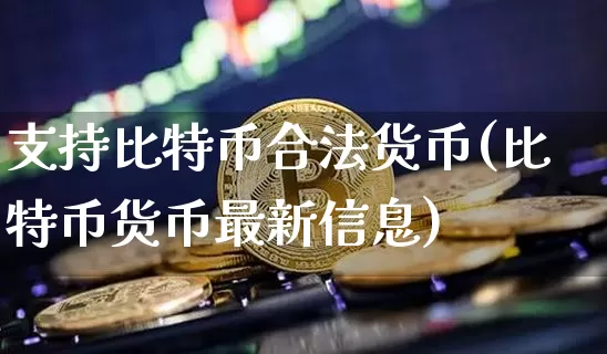 支持比特币合法货币(比特币货币最新信息)_https://www.xjzxxn66.com_比特币_第1张