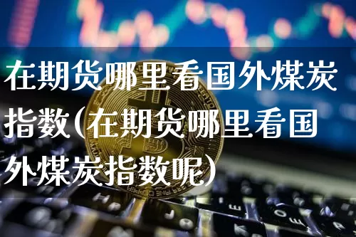 在期货哪里看国外煤炭指数(在期货哪里看国外煤炭指数呢)_https://www.xjzxxn66.com_区块链_第1张