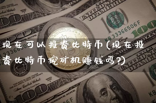 现在可以投资比特币(现在投资比特币挖矿机赚钱吗?)_https://www.xjzxxn66.com_币圈资讯_第1张