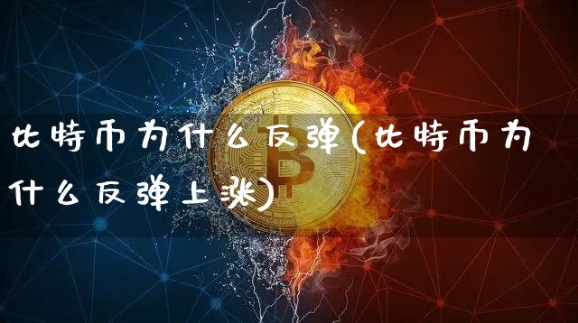 比特币为什么反弹(比特币为什么反弹上涨)_https://www.xjzxxn66.com_币圈资讯_第1张