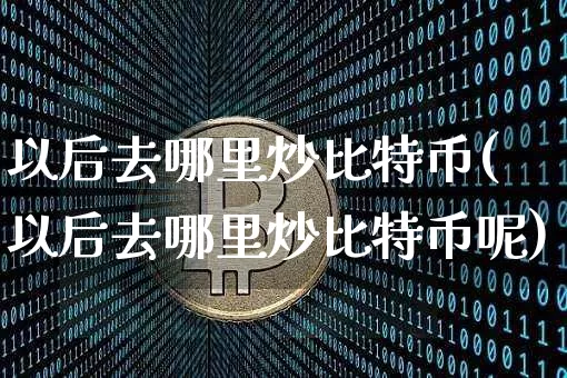 以后去哪里炒比特币(以后去哪里炒比特币呢)_https://www.xjzxxn66.com_比特币_第1张
