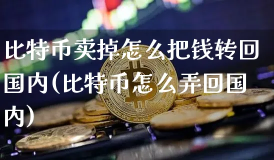 比特币卖掉怎么把钱转回国内(比特币怎么弄回国内)_https://www.xjzxxn66.com_币圈资讯_第1张