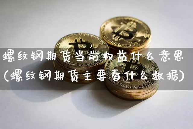 螺纹钢期货当前权益什么意思(螺纹钢期货主要看什么数据)_https://www.xjzxxn66.com_币圈资讯_第1张