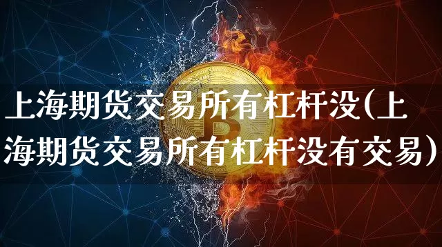 上海期货交易所有杠杆没(上海期货交易所有杠杆没有交易)_https://www.xjzxxn66.com_区块链_第1张