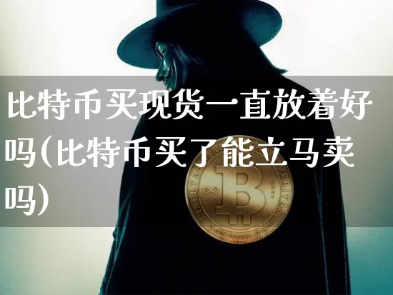 比特币买现货一直放着好吗(比特币买了能立马卖吗)_https://www.xjzxxn66.com_币圈资讯_第1张