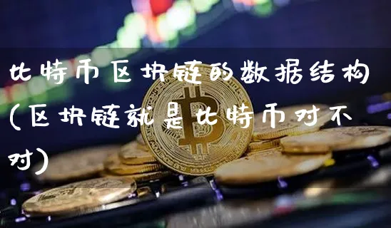 比特币区块链的数据结构(区块链就是比特币对不对)_https://www.xjzxxn66.com_以太坊_第1张