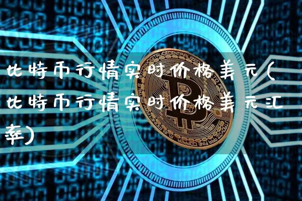 比特币行情实时价格美元(比特币行情实时价格美元汇率)_https://www.xjzxxn66.com_币圈资讯_第1张