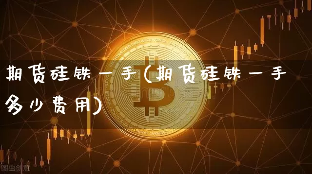 期货硅铁一手(期货硅铁一手多少费用)_https://www.xjzxxn66.com_币圈资讯_第1张