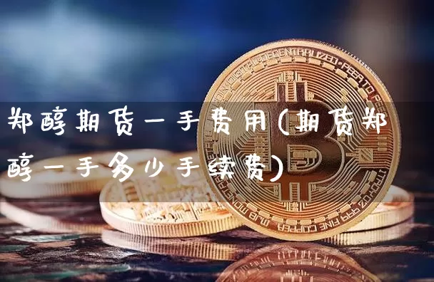 郑醇期货一手费用(期货郑醇一手多少手续费)_https://www.xjzxxn66.com_比特币_第1张