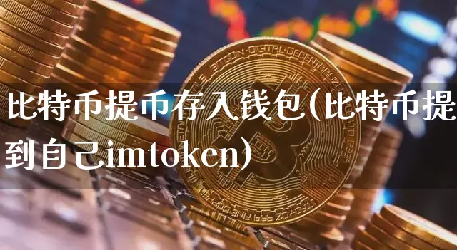 比特币提币存入钱包(比特币提币到自己imtoken)_https://www.xjzxxn66.com_区块链_第1张