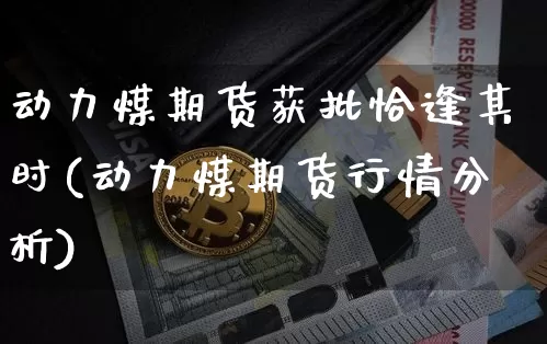 动力煤期货获批恰逢其时(动力煤期货行情分析)_https://www.xjzxxn66.com_币圈资讯_第1张