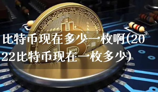 比特币现在多少一枚啊(2022比特币现在一枚多少)_https://www.xjzxxn66.com_币圈资讯_第1张