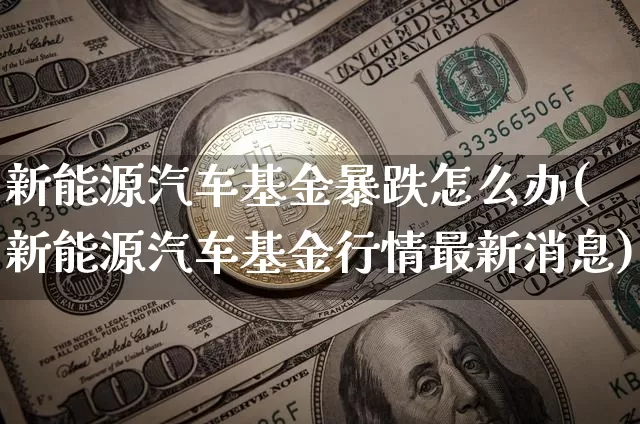 新能源汽车基金暴跌怎么办(新能源汽车基金行情最新消息)_https://www.xjzxxn66.com_区块链_第1张
