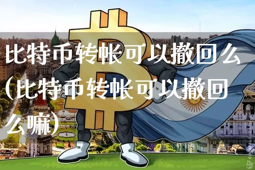 比特币转帐可以撤回么(比特币转帐可以撤回么嘛)_https://www.xjzxxn66.com_币圈资讯_第1张