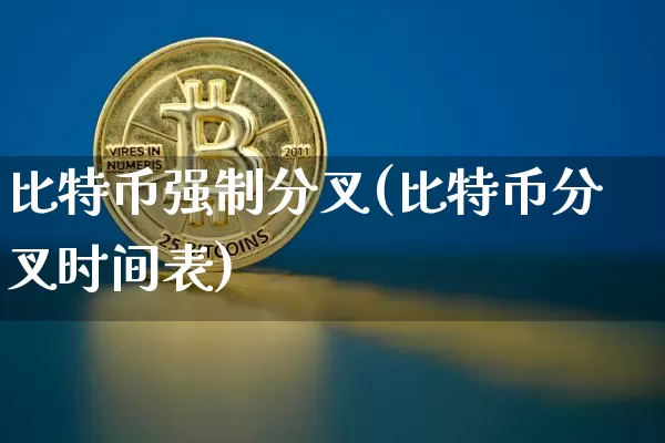 比特币强制分叉(比特币分叉时间表)_https://www.xjzxxn66.com_比特币_第1张