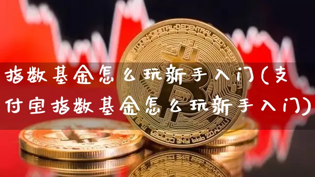 指数基金怎么玩新手入门(支付宝指数基金怎么玩新手入门)_区块链_第1张_相聚币圈 指数基金怎么玩新手入门(支付宝指数基金怎么玩新手入门)_https://www.xjzxxn66.com_区块链_第1张