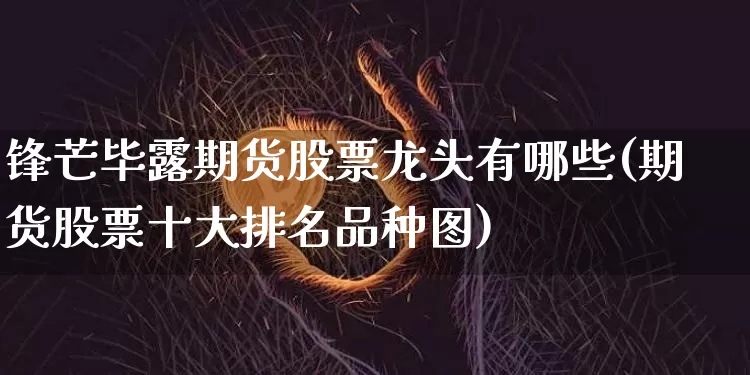 锋芒毕露期货股票龙头有哪些(期货股票十大排名品种图)_https://www.xjzxxn66.com_未分类_第1张