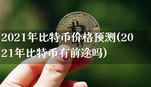 2021年比特币价格预测(2021年比特币有前途吗)_https://www.xjzxxn66.com_币圈资讯_第1张