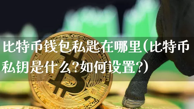 比特币钱包私匙在哪里(比特币私钥是什么?如何设置?)_https://www.xjzxxn66.com_币圈资讯_第1张