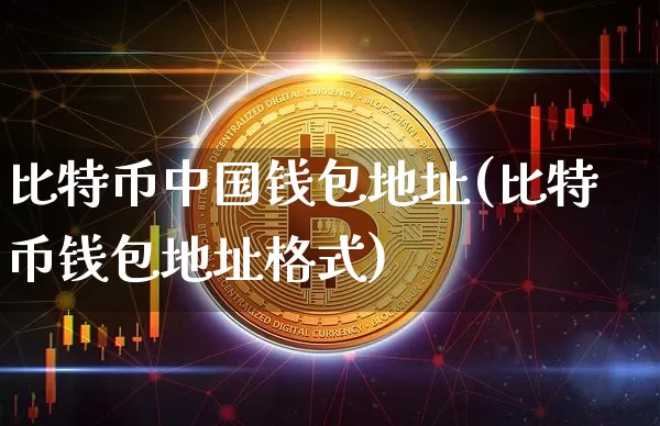 比特币中国钱包地址(比特币钱包地址格式)_https://www.xjzxxn66.com_币圈资讯_第1张