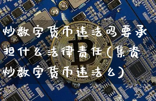 炒数字货币吗要承担什么法律责任(集资炒数字货币么)_https://www.xjzxxn66.com_币圈资讯_第1张