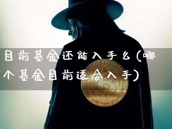 目前基金还能入手么(哪个基金目前适合入手)_未分类_第1张_相聚币圈 目前基金还能入手么(哪个基金目前适合入手)_https://www.xjzxxn66.com_未分类_第1张
