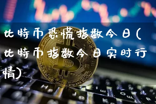比特币恐慌指数今日(比特币指数今日实时行情)_https://www.xjzxxn66.com_币圈资讯_第1张