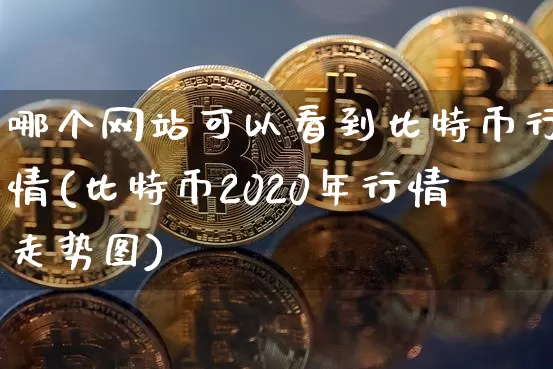 哪个网站可以看到比特币行情(比特币2020年行情走势图)_https://www.xjzxxn66.com_区块链_第1张