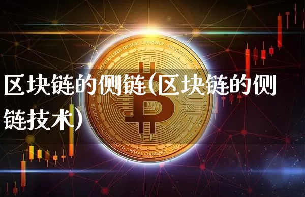 区块链的侧链(区块链的侧链技术)_https://www.xjzxxn66.com_币圈资讯_第1张