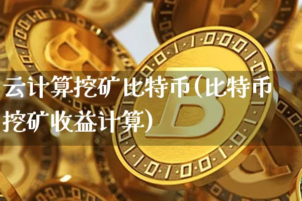云计算挖矿比特币(比特币挖矿收益计算)_https://www.xjzxxn66.com_币圈资讯_第1张