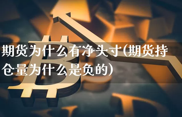 期货为什么有净头寸(期货持仓量为什么是负的)_https://www.xjzxxn66.com_区块链_第1张