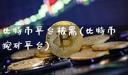 比特币平台被黑(比特币挖矿平台)_https://www.xjzxxn66.com_区块链_第1张