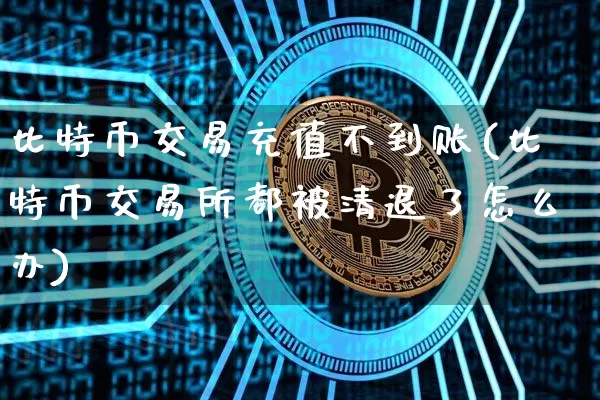 比特币交易充值不到账(比特币交易所都被清退了怎么办)_https://www.xjzxxn66.com_比特币_第1张
