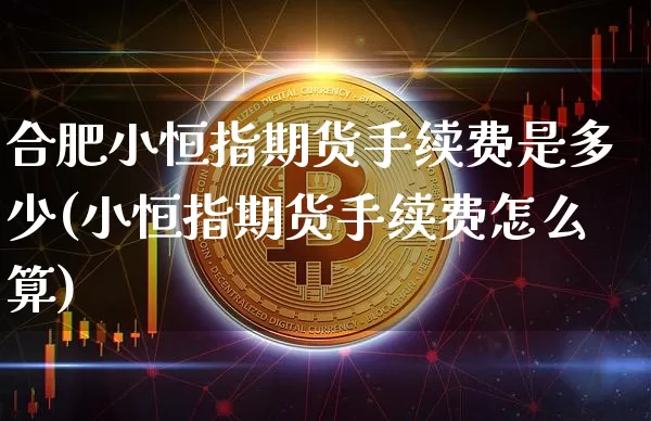 合肥小恒指期货手续费是多少(小恒指期货手续费怎么算)_https://www.xjzxxn66.com_未分类_第1张